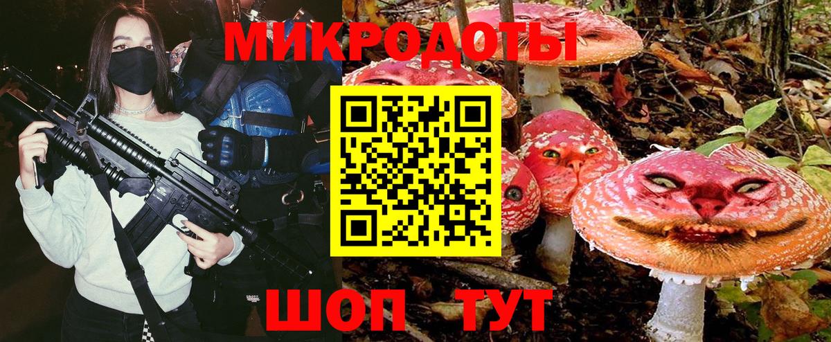 Галлюциногенные грибы Psilocybe Саки